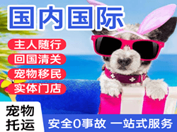 萨尔图机场物流国际宠物托运 【国